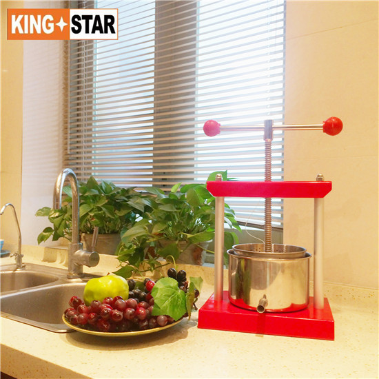 3L Stainless steel Fruit Press